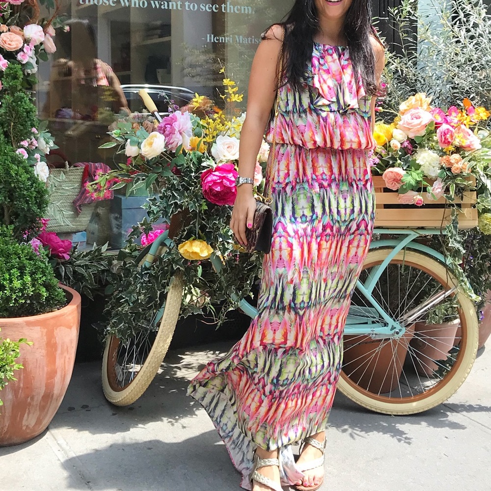 Alexis silk maxi dress